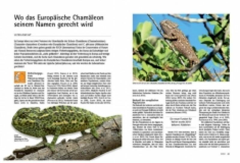 Preview: DRACO 58, Chamälons